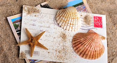 Agenda des manifestations proches de l'Hotel Saint James, hôtel 3 étoiles à Trouville sur Mer, hôtel de charme en bord de mer dans le Calvados, hotel avec salon bar proche de Deauville, Cabourg, Honfleur sur la côte fleurie en Normandie