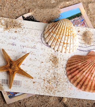 Agenda des manifestations proches de l'Hotel Saint James, hôtel 3 étoiles à Trouville sur Mer, hôtel de charme en bord de mer dans le Calvados, hotel avec salon bar proche de Deauville, Cabourg, Honfleur sur la côte fleurie en Normandie