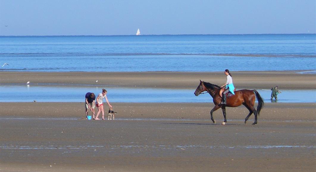 Equitation - Hotel Saint James, hôtel 3 étoiles à Trouville sur Mer, hôtel de charme en bord de mer dans le Calvados, hotel avec salon bar proche de Deauville, Cabourg, Honfleur sur la côte fleurie en Normandie