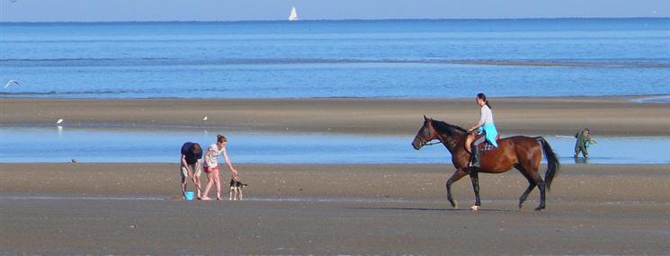 Equitation - Hotel Saint James, hôtel 3 étoiles à Trouville sur Mer, hôtel de charme en bord de mer dans le Calvados, hotel avec salon bar proche de Deauville, Cabourg, Honfleur sur la côte fleurie en Normandie