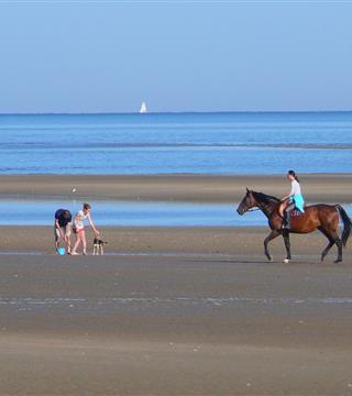 Equitation - Hotel Saint James, hôtel 3 étoiles à Trouville sur Mer, hôtel de charme en bord de mer dans le Calvados, hotel avec salon bar proche de Deauville, Cabourg, Honfleur sur la côte fleurie en Normandie