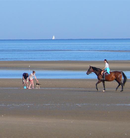 Equitation - Hotel Saint James, hôtel 3 étoiles à Trouville sur Mer, hôtel de charme en bord de mer dans le Calvados, hotel avec salon bar proche de Deauville, Cabourg, Honfleur sur la côte fleurie en Normandie