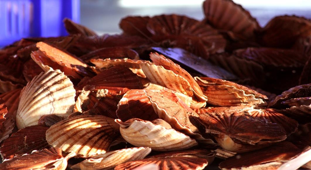 Gastronomie normande - Hotel Saint James, hôtel 3 étoiles à Trouville sur Mer, hôtel de charme en bord de mer dans le Calvados, hotel avec salon bar proche de Deauville, Cabourg, Honfleur sur la côte fleurie en Normandie